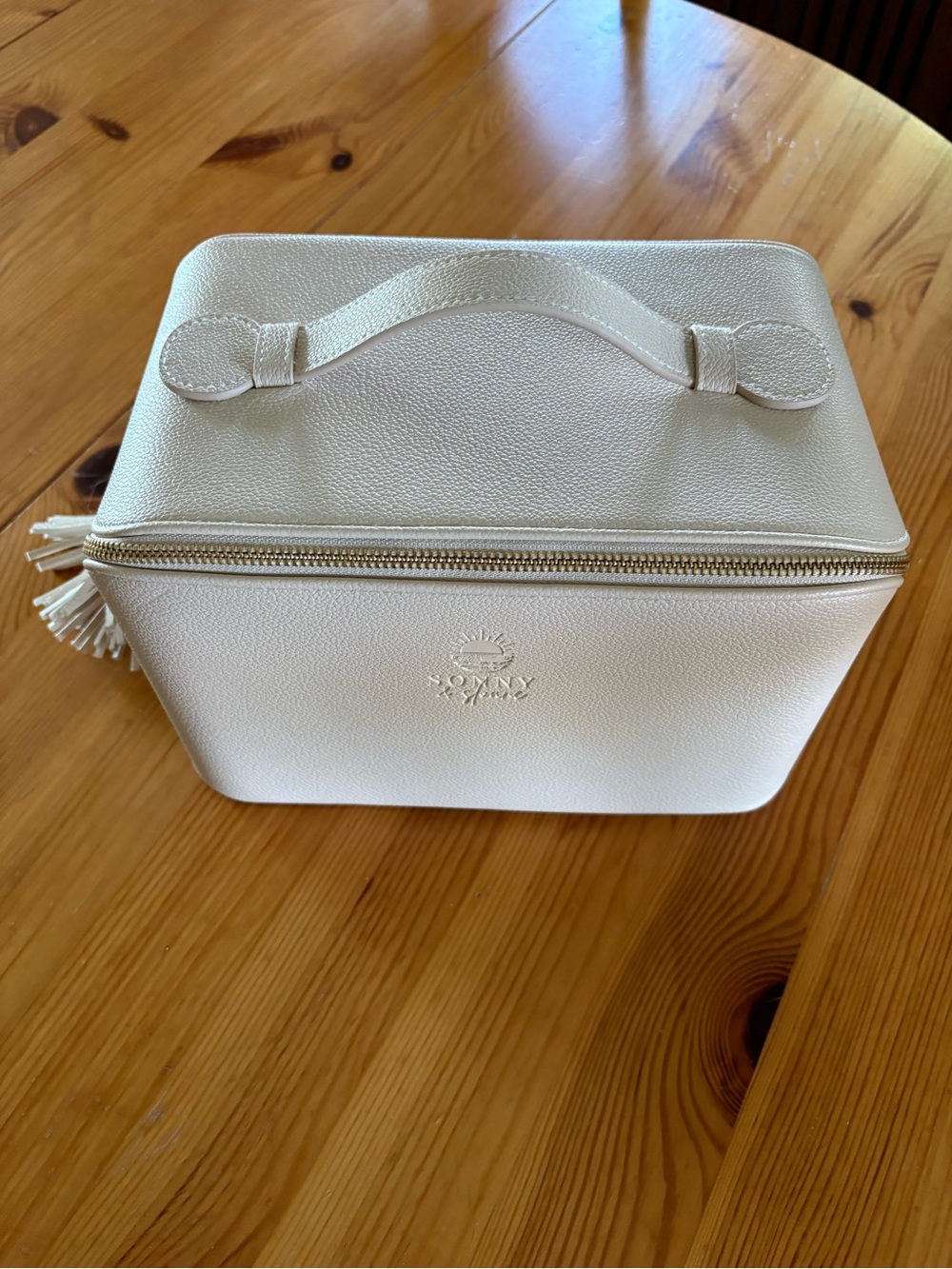 Travel Bag For Portable Pumps
